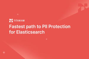 Fastest path to PII Protection for Elasticsearch