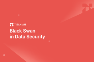Black Swan in Data Security – Titaniam Blog